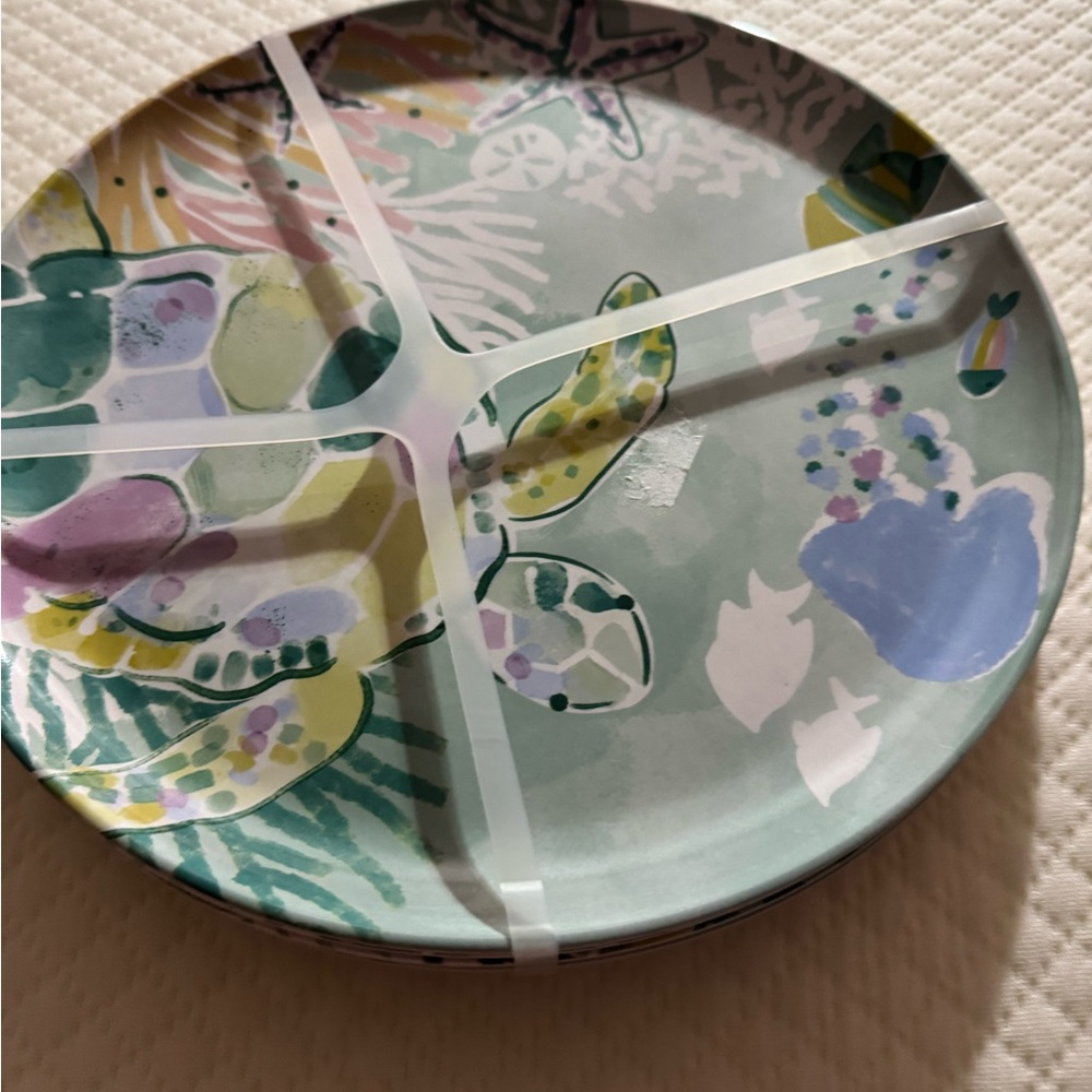 Colorful Plate Set